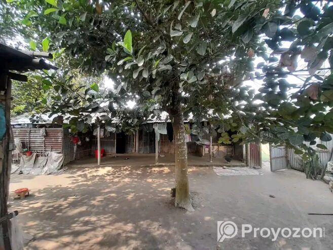 ৫ শতাংশ জমির ওপর টিনের তৈরি একটি বাড়ি বিক্রি হবে