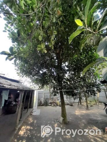 ৫ শতাংশ জমির ওপর টিনের তৈরি একটি বাড়ি বিক্রি হবে