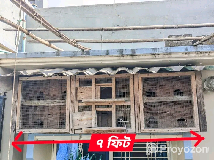 কবুতরের এই খোপটি বিক্রয় করা হবে