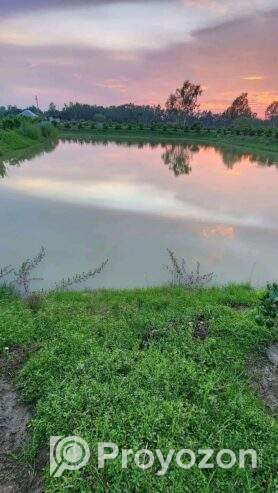 পুকুর সহ জমি লিজ দিতে চাই