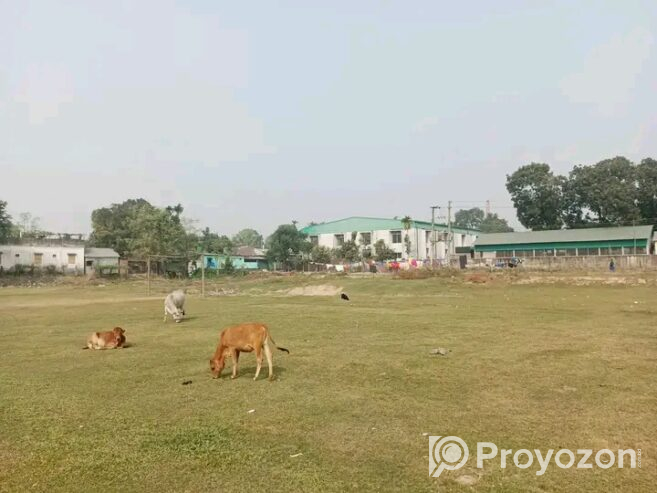 প্লট বিক্রয় চলছে