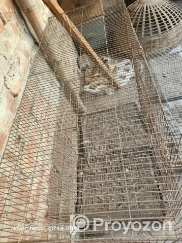 কবুতরের খাচা বিক্রি করা হবে