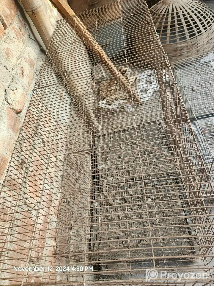 কবুতরের খাচা বিক্রি করা হবে