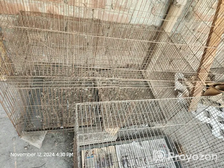 কবুতরের খাচা বিক্রি করা হবে