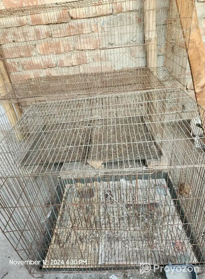 কবুতরের খাচা বিক্রি করা হবে