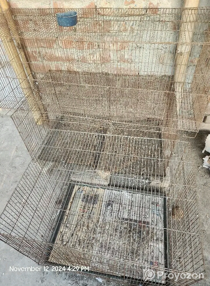 কবুতরের খাচা বিক্রি করা হবে