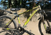 Phoenix Cycle (Used)