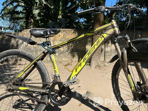 Phoenix Cycle (Used)