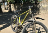 Phoenix Cycle (Used)