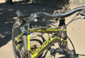 Phoenix Cycle (Used)