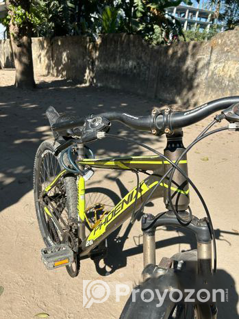 Phoenix Cycle (Used)