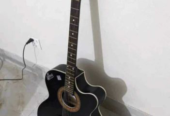 Signature guitar Condition: Full fresh