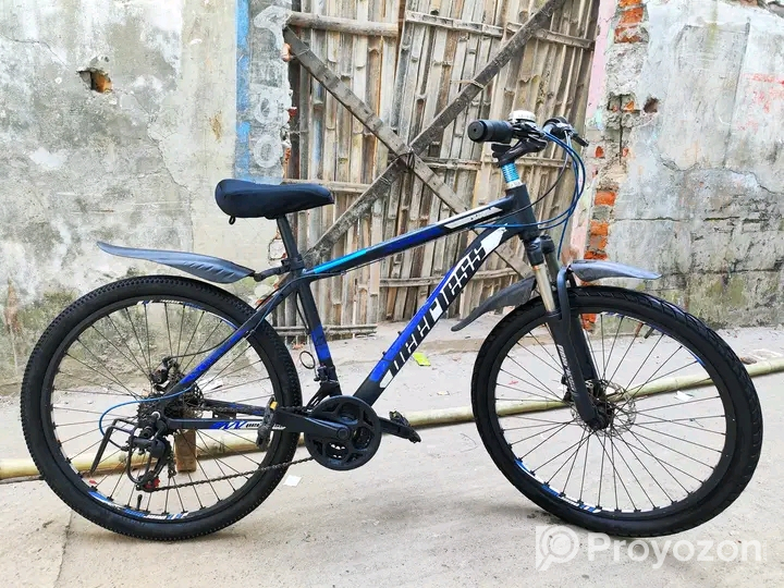 Peerless Gear Cycle 26″