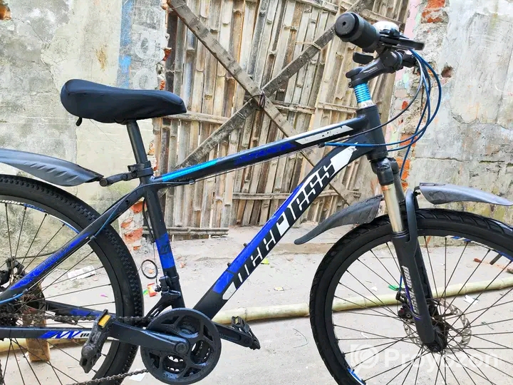 Peerless Gear Cycle 26″