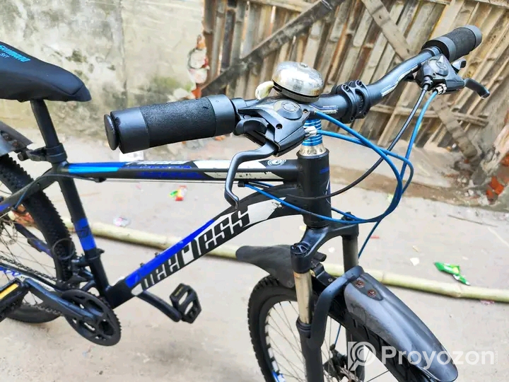 Peerless Gear Cycle 26″