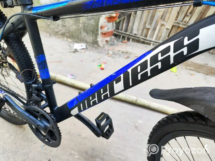 Peerless Gear Cycle 26″