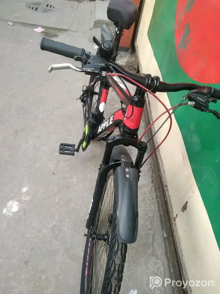 সাইকেলটা বিক্রি করা হবে