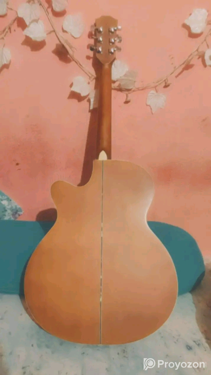 Guitar sell Post (Used)