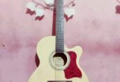 Guitar sell Post (Used)