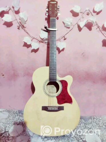 Guitar sell Post (Used)