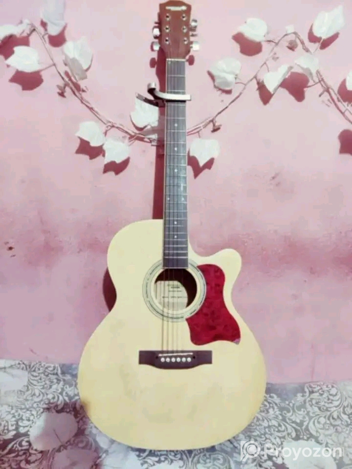 Guitar sell Post (Used)