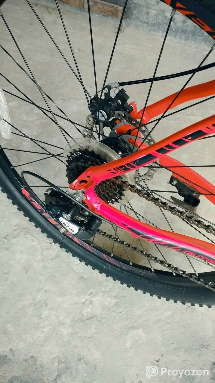 Veloce outrage 602(2022)