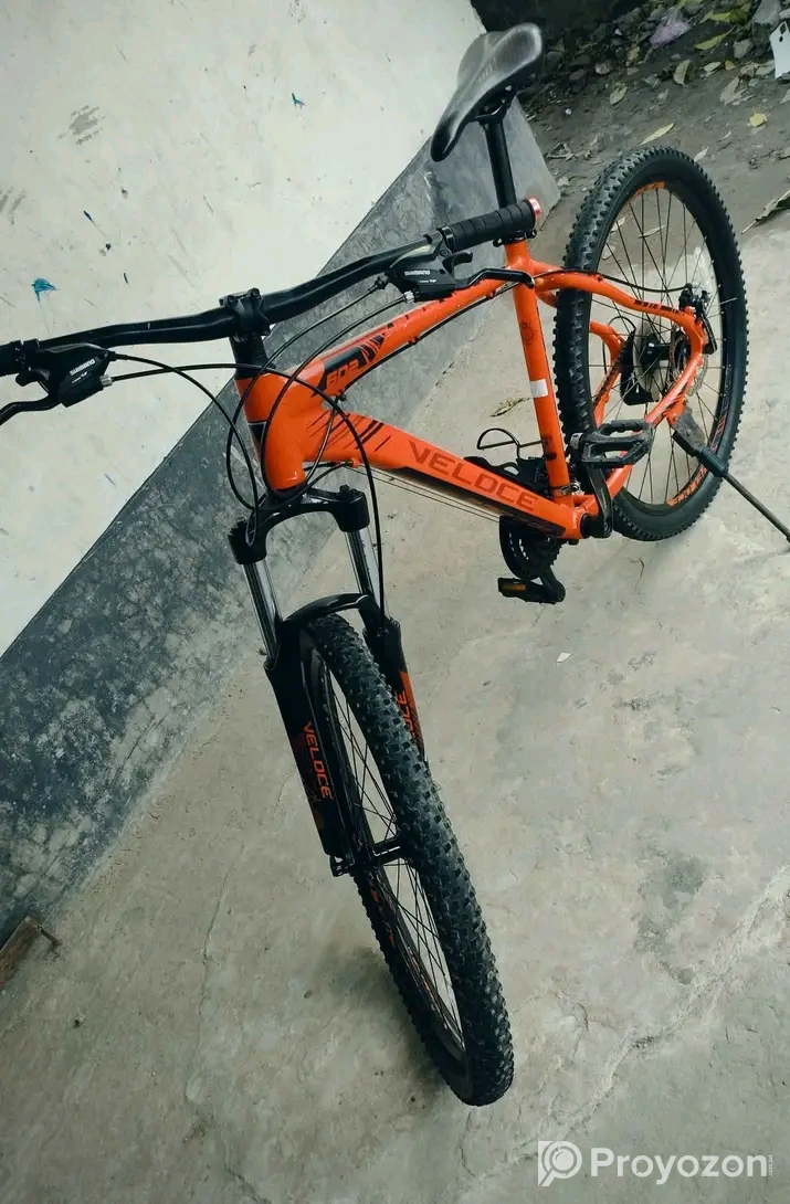 Veloce outrage 602(2022)