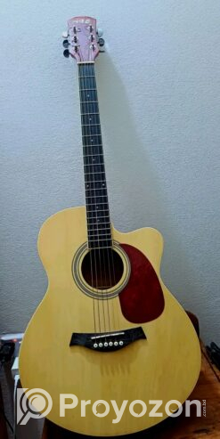 Axe48c guitar (Used)