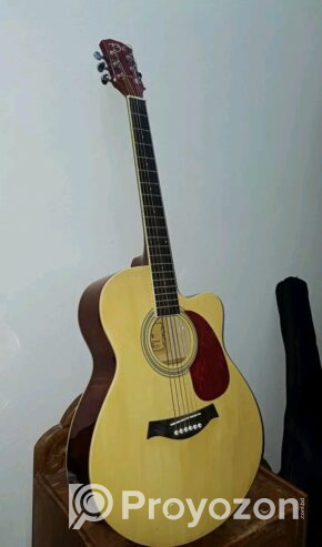 Axe48c guitar (Used)