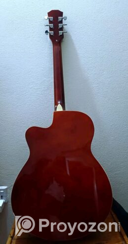 Axe48c guitar (Used)