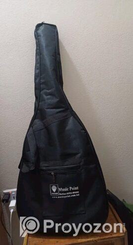 Axe48c guitar (Used)