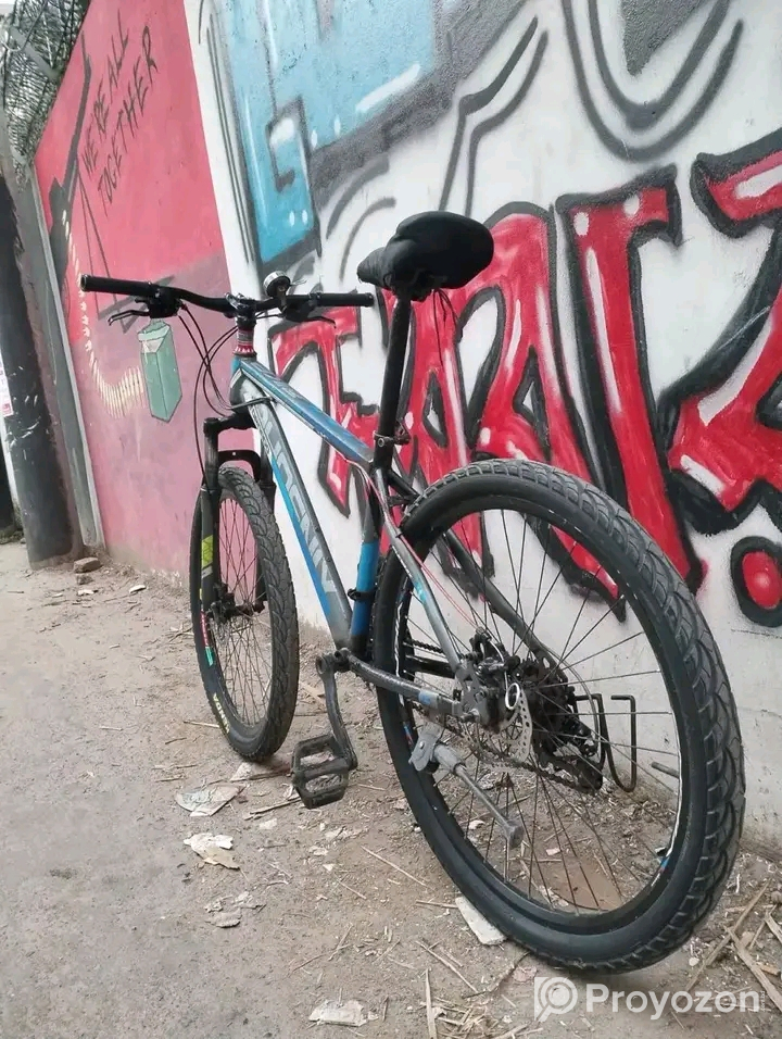 সাইকেলটা বিক্রি হবে