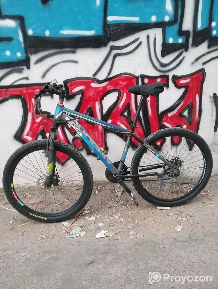 সাইকেলটা বিক্রি হবে