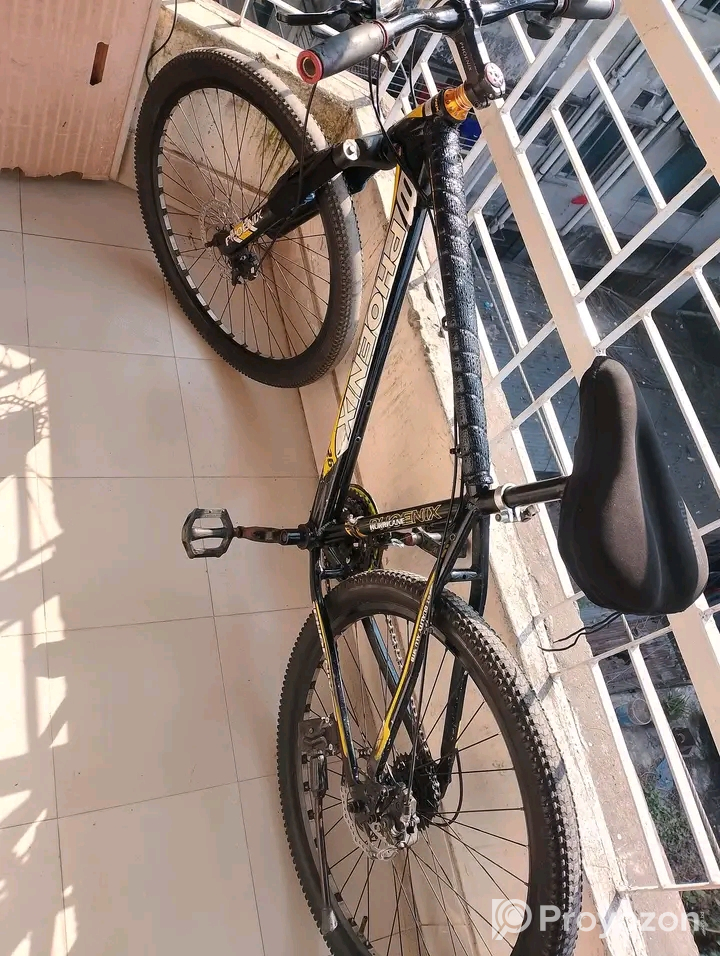 Phonix Haricane 26″ gear cycle