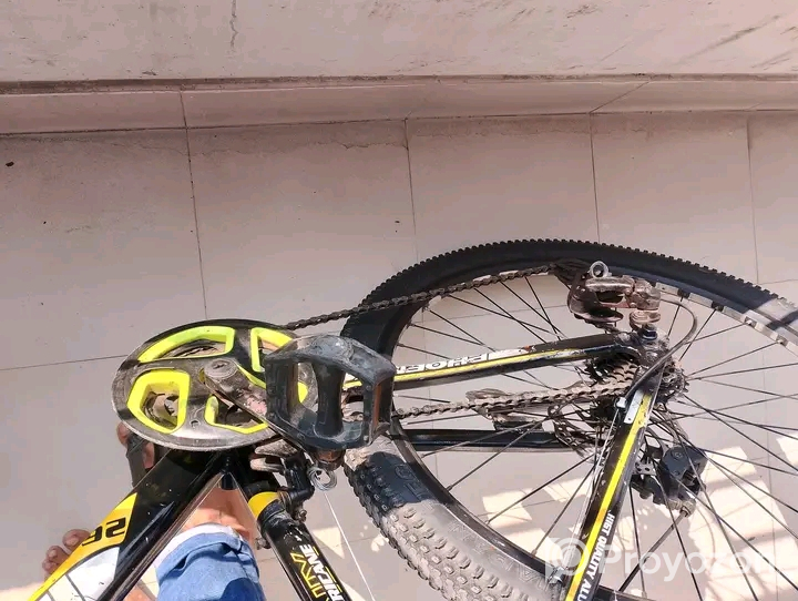 Phonix Haricane 26″ gear cycle