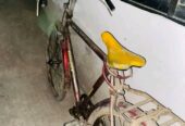 এই সাইকেলটি বিক্রি করা হবে
