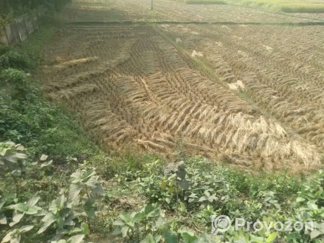দিনাজপুরে ০.০৬ শতাংশ জমি বিক্রি হইবে