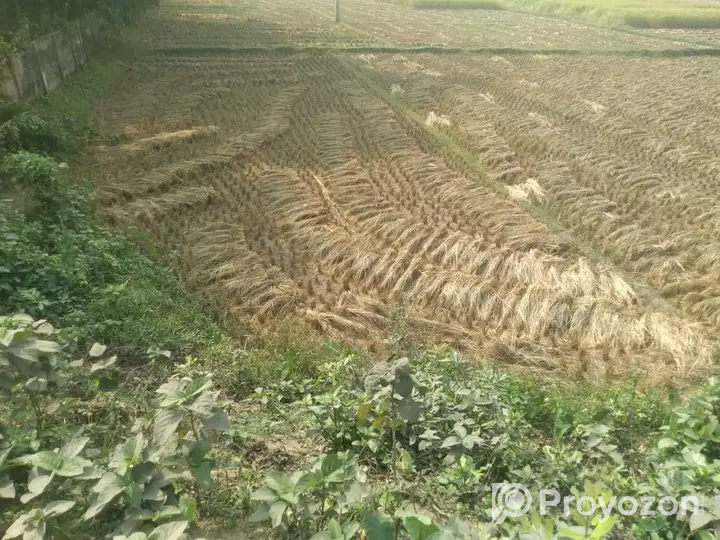 দিনাজপুরে ০.০৬ শতাংশ জমি বিক্রি হইবে