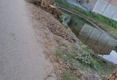 জমিটি বিক্রি করা হবে।