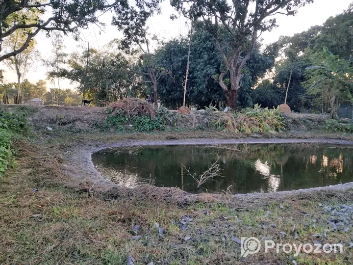 জমিটি বিক্রি করা হবে।