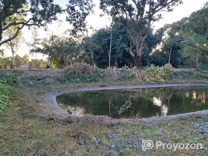 জমিটি বিক্রি করা হবে।