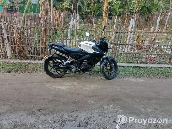 Pulsar NS 160Cc Bike