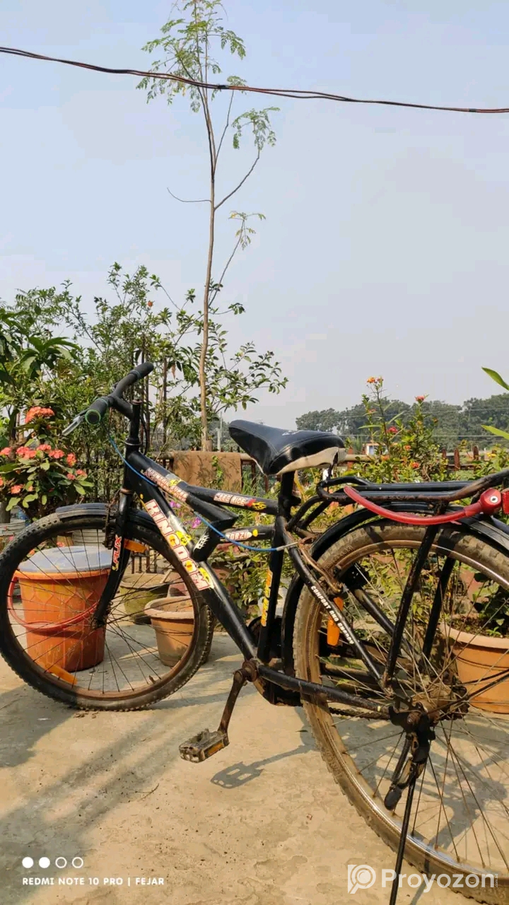 সাইকেলটি বিক্রি করা হবে