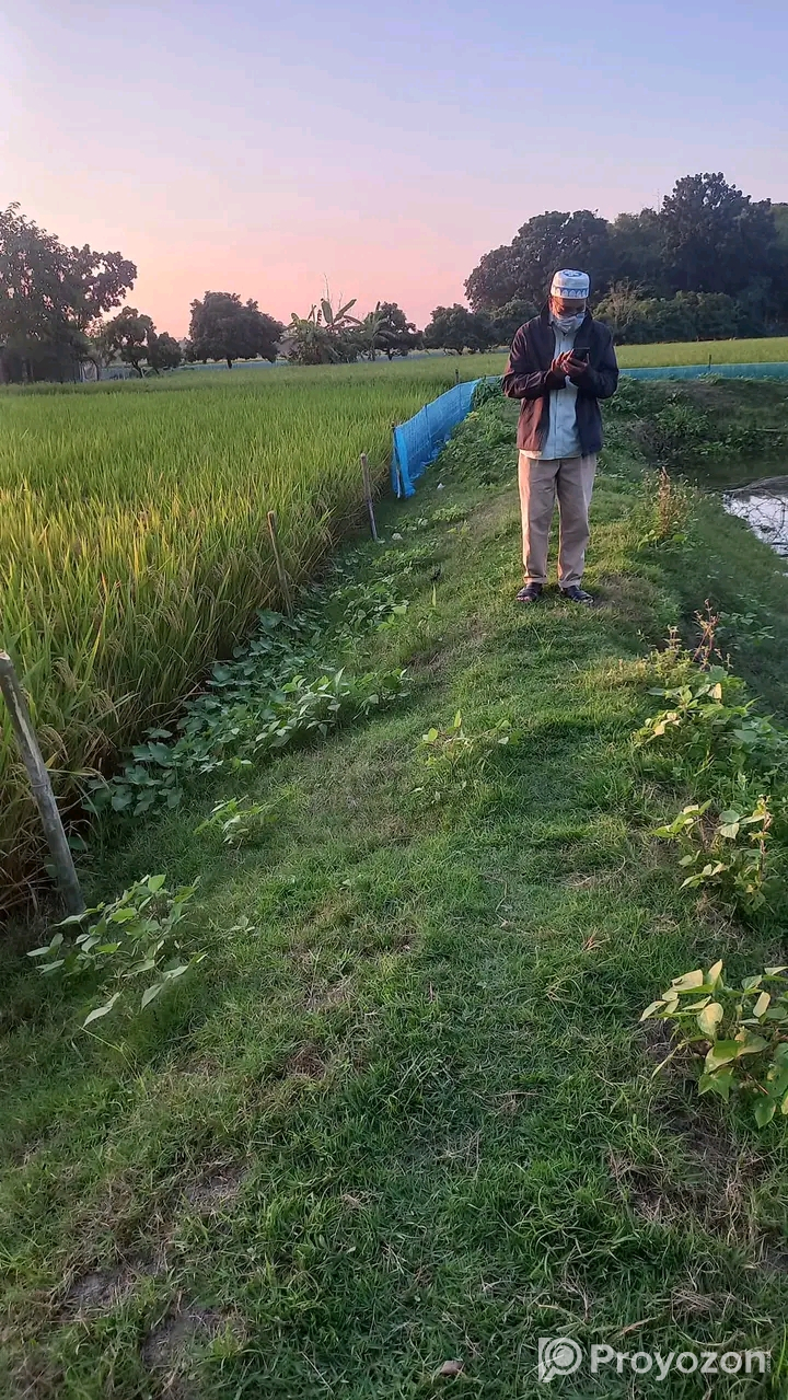 জমি বিক্রি করা হবে দিনাজপুরে