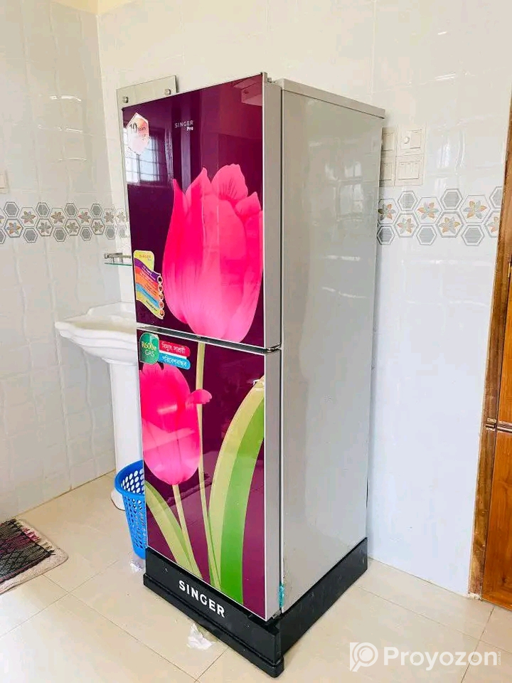 ১৯৮ লিটারের ফ্রিজ টি বিক্রি করা হবে