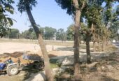 দিনাজপুর টু ১০মাইল রাস্তার পাশে জমি বিক্রি করা হবে