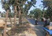 দিনাজপুর টু ১০মাইল রাস্তার পাশে জমি বিক্রি করা হবে