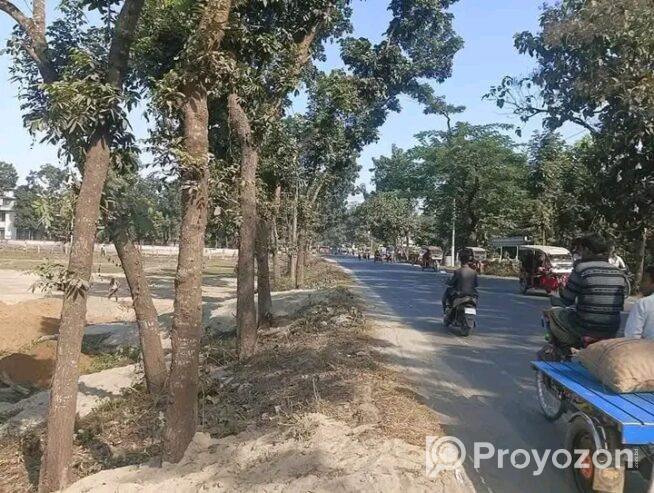 দিনাজপুর টু ১০মাইল রাস্তার পাশে জমি বিক্রি করা হবে