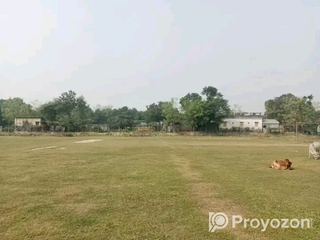 দিনাজপুর টু ১০মাইল রাস্তার পাশে জমি বিক্রি করা হবে