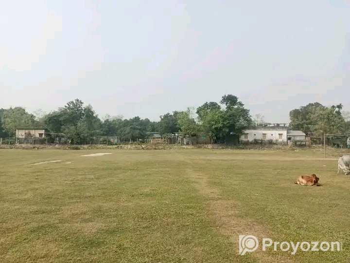 দিনাজপুর টু ১০মাইল রাস্তার পাশে জমি বিক্রি করা হবে